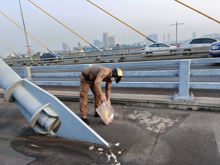 จิตสำนึก..