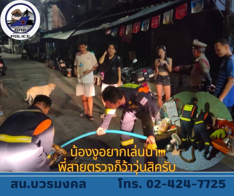 น้องงูอยากเล่นสงกรานต์ !!!